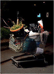 guerrilla gardening