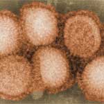Asian Flu