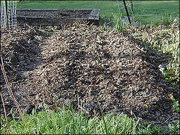Temporary raised beds 