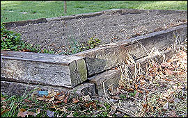 Old railroad ties 