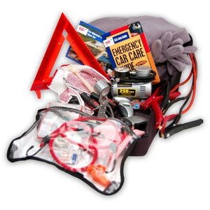 Triple A Travel Safety Kit