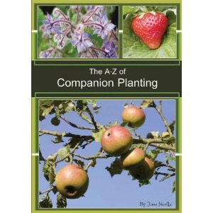 Companion Planting
