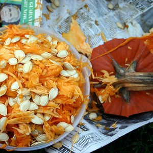 Cleaning out pumpkin seeds