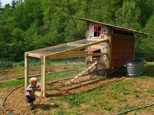Homemade Chicken Coop with Beer Can Shingles Was Built in 10 Hours for 