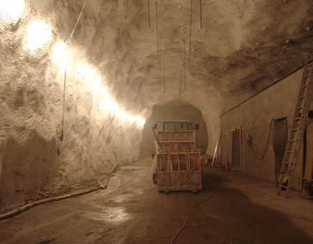 Svalbard Seed Bank