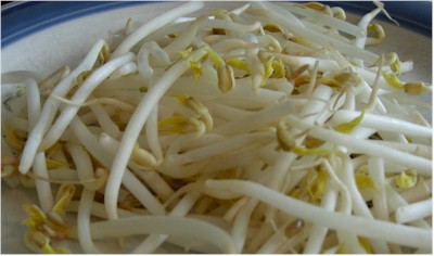 sprouts