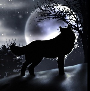 shadow wolf