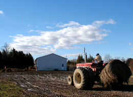 Becoming a farmer