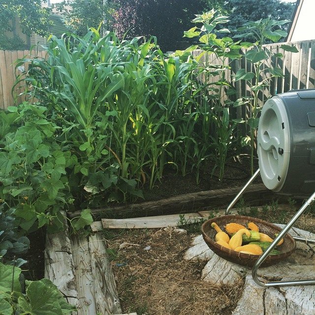 garden
