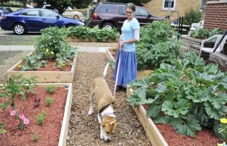 Oak Park Vegetable Garden