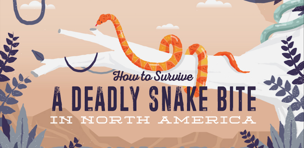 Survive a Deadly Snake Bite