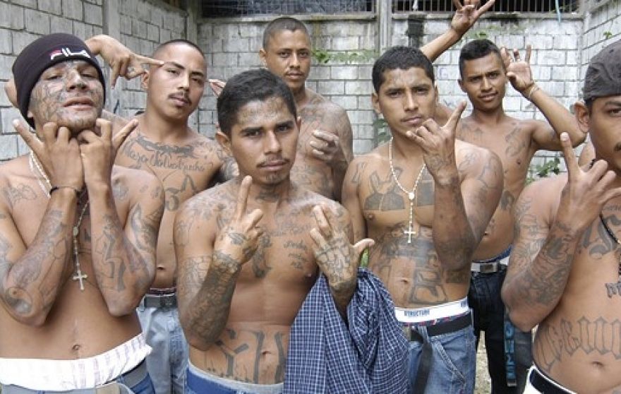 gang of thugs